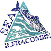 Sea Ilfracombe Maritime Festival
