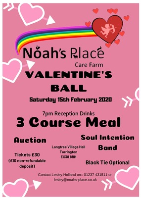 Noah's Place Valentine's Ball