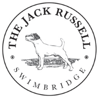 North Devon Now Jack Russell in Swimbridge England