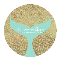 SaltwaterGaia Holistic Healing & Massage Therapies
